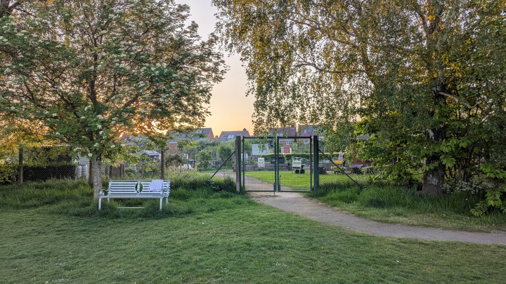The main entrance gate to Four Marks Allotment at dusk, with a metal bench and winding path flanked by mature trees, and allotment plots visible beyond the gate.